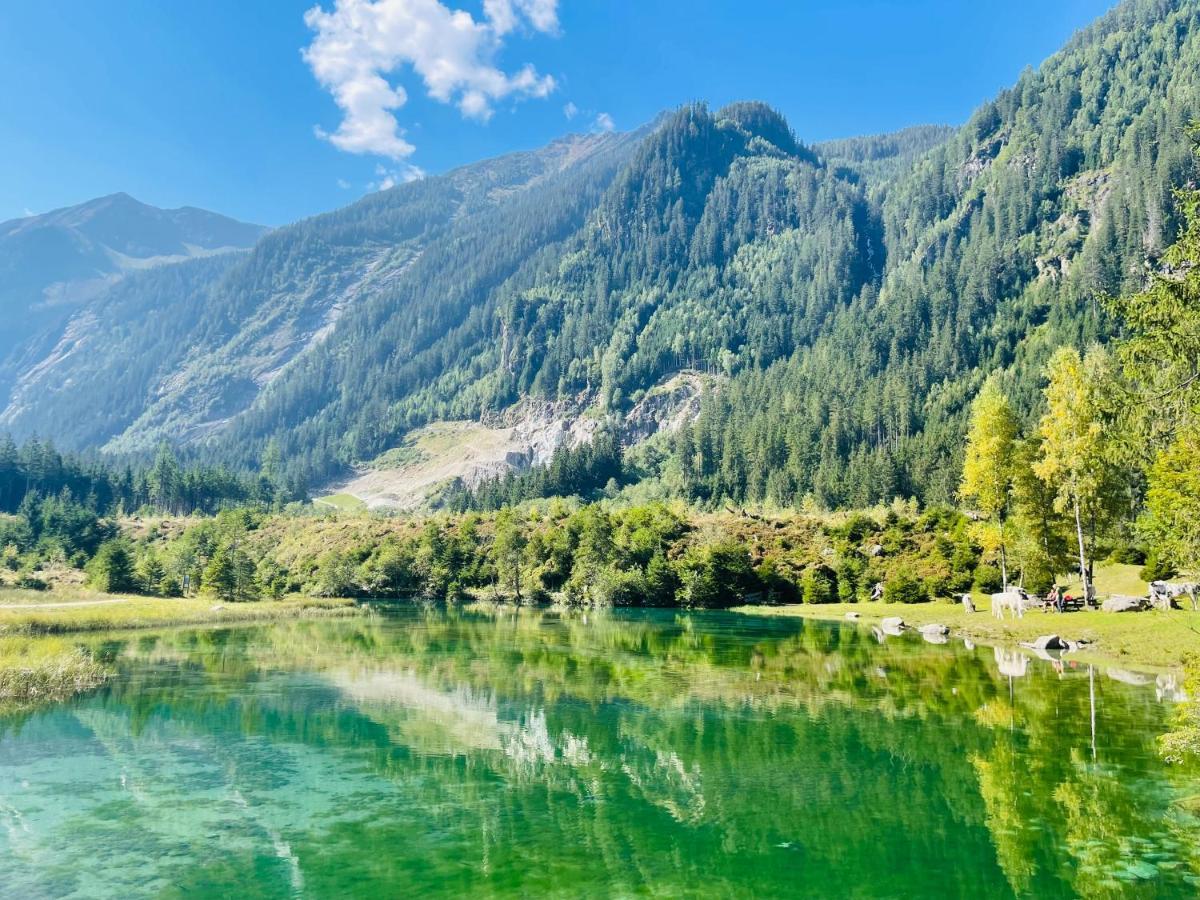 Apartment Weitblick Wald im Pinzgau Exterior foto